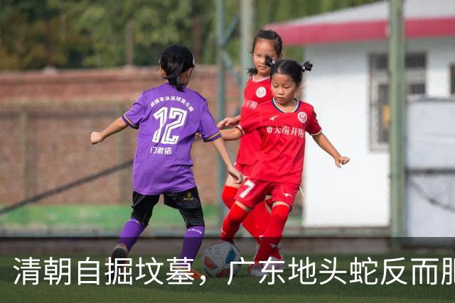 清朝自掘坟墓，广东地头蛇反而肥了