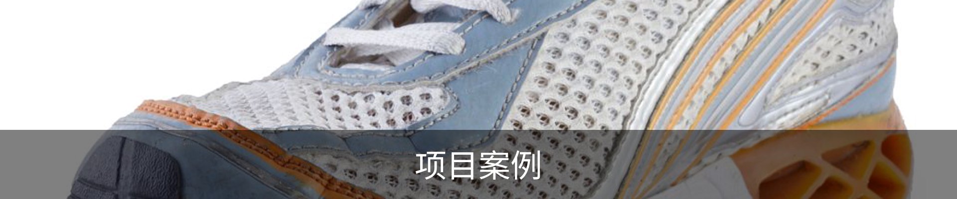项目案例
